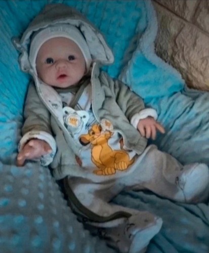 Bébé reborn garçon tout